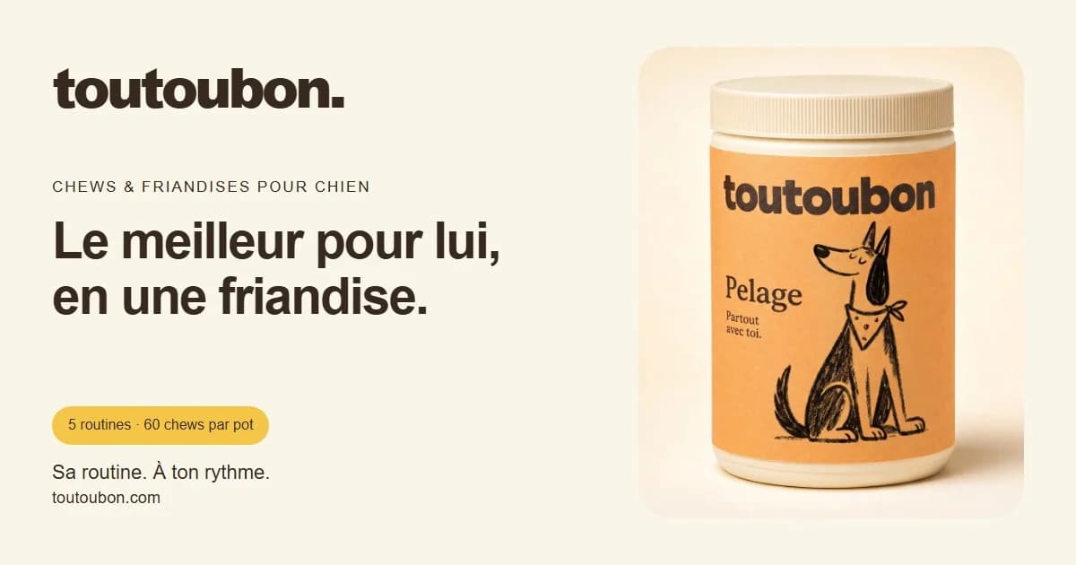 Capture du site Toutoubon